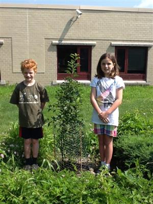 Tree for Mrs. Brader 